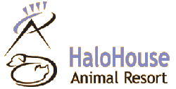 HaloHouse Animal Resort