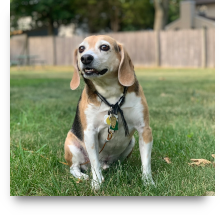 Sparky